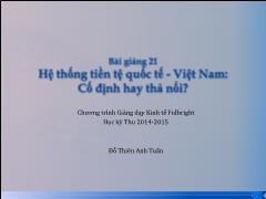 Hệ thống tiền tệ quốc tế - Việt Nam cố định hay thả nổi