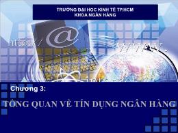 Ngân hàng tín dung - Chương 3: Tổng quan về tín dụng ngân hàng