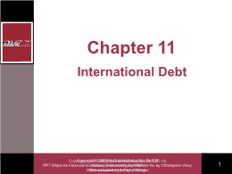 Tài chính doanh nghiệp - Chapter 11: International debt