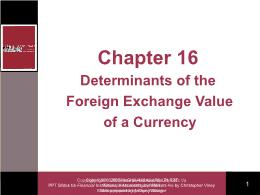Tài chính doanh nghiệp - Chapter 16: Determinants of the foreign exchange value of a currency