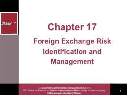 Tài chính doanh nghiệp - Chapter 17: Foreign exchange risk identification and management