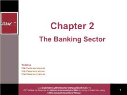 Tài chính doanh nghiệp - Chapter 2: The banking sector