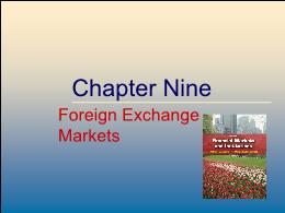 Tài chính doanh nghiệp - Chapter nine: Foreign exchange markets