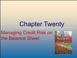 Tài chính doanh nghiệp - Chapter twenty: Managing credit risk on the balance sheet