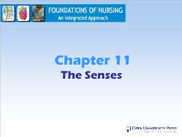 Y khoa, y dược - Chapter 11: The senses