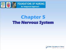 Y khoa, y dược - Chapter 5: The nervous system