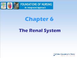 Y khoa, y dược - Chapter 6: The renal system