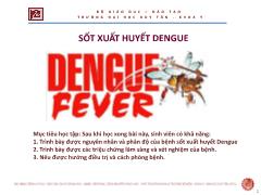 Y khoa, y dược - Sốt xuất huyết dengue