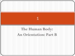 Y khoa, y dược - The human body: An orientation: part b