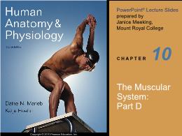 Y khoa, y dược - The muscular system: Part D