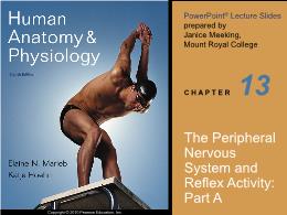 Y khoa, y dược - The peripheral nervous system and reflex activity: Part A