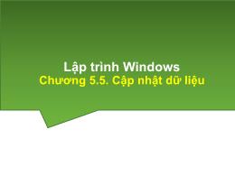 Bài giảng Lập trình Windows - Chương 5.5: Cập nhật dữ liệu