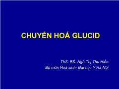 Chuyển hóa Glucid - Ngô Thị Thu Hiền