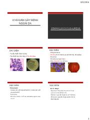 Vi sinh vật - Bài 11: Vi khuẩn gây bệnh ngoài da