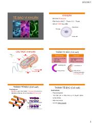Vi sinh vật - Bài 2: Tế bào vi khuẩn