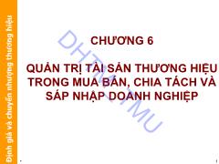 Bài giảng Định giá và chuyển nhượng thương hiệu - Chương 6: Quản trị tài sản thương hiệu trong mua bán, chia tách và sáp nhập doanh nghiệp