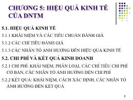 Bài giảng Kinh tế doanh nghiệp thương mại - Chương 5: Hiệu quả kinh tế của doanh nghiệp thương mại