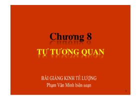 Bài giảng Kinh tế lượng - Chương 8: Tự tương quan - Phạm Văn Minh
