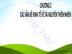 Bài giảng Kinh tế môi trường - Chương 2: Các vấn đề kinh tế về tài nguyên thiên nhiên