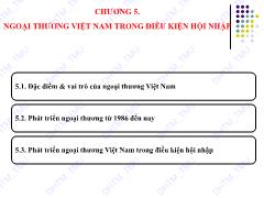 Bài giảng Kinh tế thương mại Việt Nam - Chương 5: Ngoại thương Việt Nam trong điều kiện hội nhập