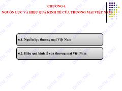 Bài giảng Kinh tế thương mại Việt Nam - Chương 6: Nguồn lực và hiệu quả kinh tế của thương mại Việt Nam