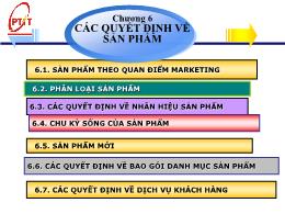 Bài giảng Marketing căn bản - Chương 6: Các quyết định về sản phẩm - Phạm Thị Minh Lan