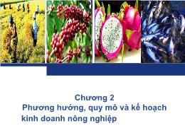 Bài giảng Quản trị kinh doanh nông nghiệp - Chương 2: Phương hướng, quy mô và kế hoạch kinh doanh nông nghiệp - Nguyễn Hà Hưng