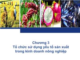 Bài giảng Quản trị kinh doanh nông nghiệp - Chương 3: Tổ chức sử dụng yếu tố sản xuất trong kinh doanh nông nghiệp - Nguyễn Hà Hưng