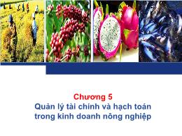 Bài giảng Quản trị kinh doanh nông nghiệp - Chương 5: Quản lý tài chính và hạch toán trong kinh doanh nông nghiệp - Nguyễn Hà Hưng