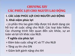 Bài giảng Quản trị nhân lực nâng cao - Chương XIV: Các phúc lợi cho người lao động - Nguyễn Tiến Mạnh