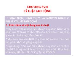 Bài giảng Quản trị nhân lực nâng cao - Chương XVIII: Kỷ luật lao động - Nguyễn Tiến Mạnh