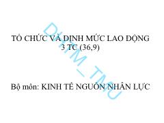 Bài giảng Tổ chức và định mức lao động - Chương 1: Tổng quan về tổ chức và định mức lao động