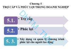 Bài giảng Trả công lao động - Chương 5: Trợ cấp và phúc lợi trong doanh nghiệp