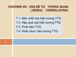 Kinh tế lượng - Chương 7: Vấn đề tự tương quan