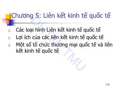 Kinh tế quốc tế 2 - Chương 5: Liên kết kinh tế quốc tế