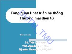 Tổng quan phát triển hệ thống thương mại điện tử - Trần Hoài Nam