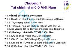 Bài giảng Tài chính vi mô - Chương 7: Tài chính vi mô ở Việt Nam