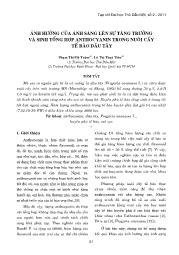 Ảnh hưởng của ánh sáng lên sự tăng trưởng và sinh tổng hợp anthocyanin trong nuôi cấy tế bào dâu tây - Phạm Thị Mỹ Trâm