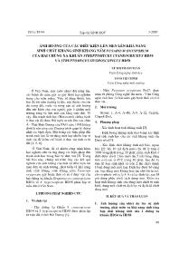 Ảnh hưởng của các điêu kiện lên men lên khả năng sinh chất kháng sinh kháng nấm fusarium oxysporum của hai chủng xạ khuẩn streptomyces cyaneogriceus hd54 và streptomyces hygroscopicus HD58 - Lê Thị Thanh Xuân