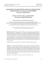Ảnh hưởng của môi trường nuôi cấy lên khả năng sinh trưởng của callus cây bách bệnh (eurycoma longi folia jack) - Nguyễn Hữu Nhân