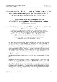 Ảnh hưởng của việc xử lý thiếu nước lên sự biến động của gen mtdhdpsl mã hóa dihydrodipicolinate synthase trong cây medicago truncatula - Hoàng thị Kim Hồng