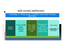 Bài giảng Kiểm toán môi trường