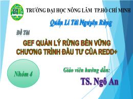 Bài thuyết trình GÈ quản lý rừng bền vững chương trình đầu tư của REDD+ - Ngô An