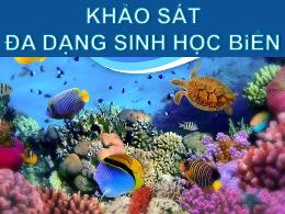 Bài thuyết trình Khảo sát đa dạng sinh học biển - Trần Cẩm Thịnh