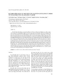 Đặc điểm hình thái cây thổ nhân sâm (talinum paniculatum) và trình tự nucleotide vùng its, gen rpoc1 và rpob - Vũ Thị Như Trang