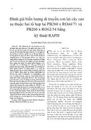 Đánh giá biến lượng di truyền con lai cây cao su thuộc hai tổ hợp lai PB260 x RO44/71 và PB260 x RO62/54 bằng kỹ thuật RAPD - Nguyễn Minh Thiện