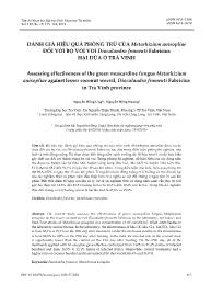 Đánh giá hiệu quả phòng trừ của metarhizium anisopliae đối với bọ vòi voi diocalanđra frumenti fabricius hại dừa ở Trà Vinh - Nguyễn Hồng Ửng