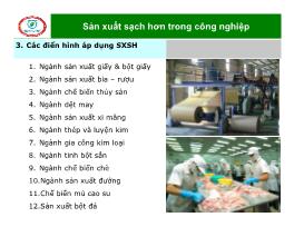 Giáo trình Điển hình áp dụng Sản xuất sạch hơn trong Công nghiệp