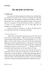 Giáo trình Sinh học phân tử - Chương 1: Các đại phân tử sinh học