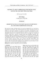 Hấp phụ các chất ô nhiễm trong môi trường nước bằng bã tro trấu biến tính acid citric - Hồ Sỹ Thắng